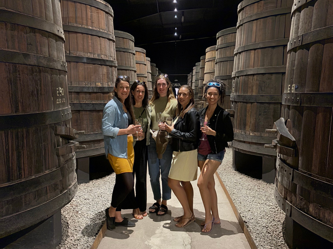 Bodegas Domecq-恩塞纳达必去景点