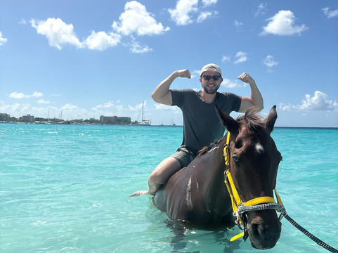 Sunflower Stables Barbados-Mangrove必去景点