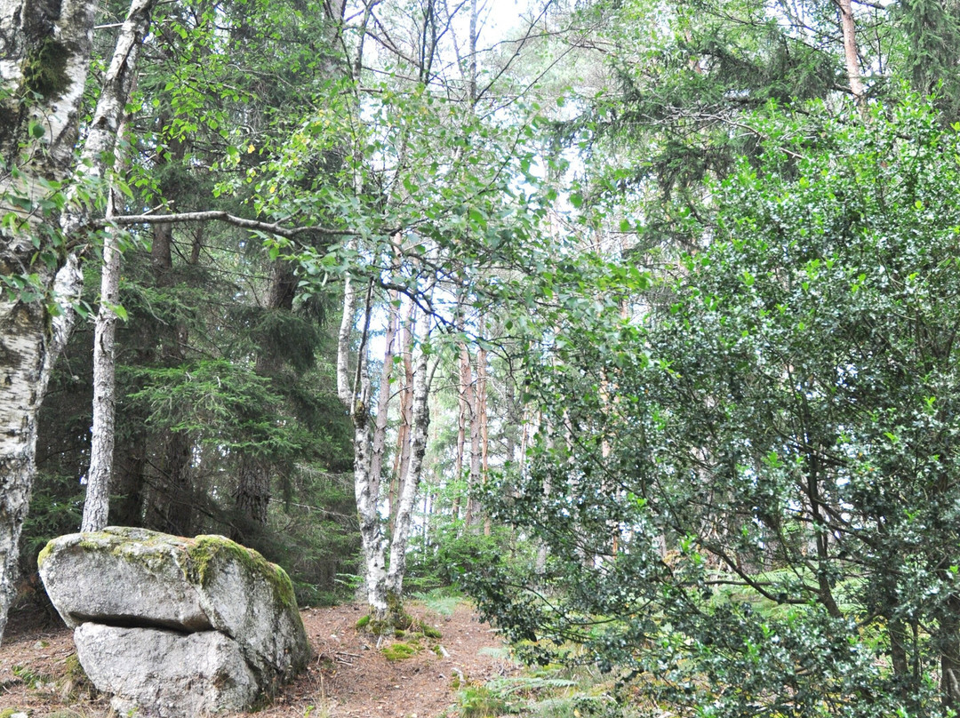 Pont de Sénoueix-Gentioux-Pigerolles必去景点