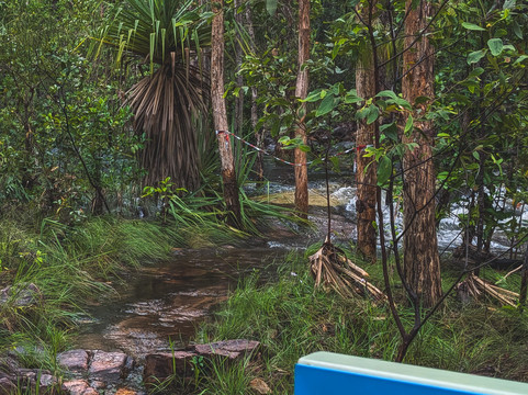 Florence Falls-Litchfield National Park必去景点