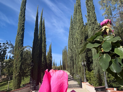 Mount Palomar Winery-特曼库拉必去景点