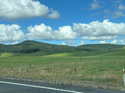 NouvelleZTravel - Private Auckland Tours-Papakura必去景点