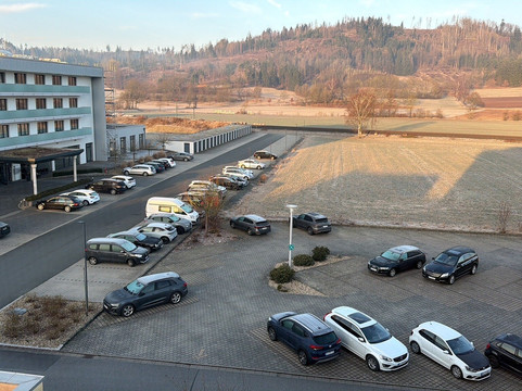 Rebhan's Klassik主图