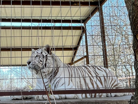 Safari Zoological Park-Caney必去景点