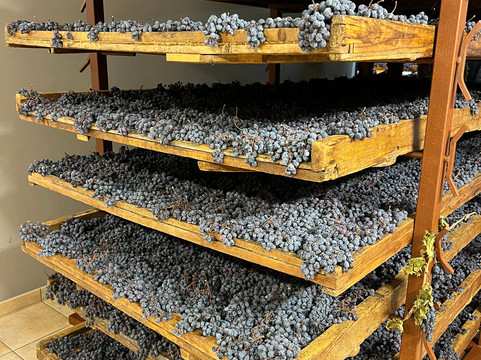 Enouting Wine Tours-维罗纳必去景点