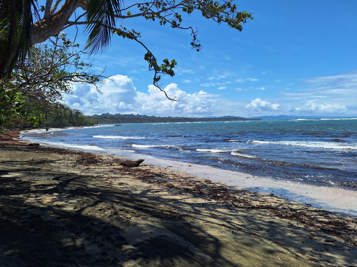 杏仁和珊瑚精品酒店-官方