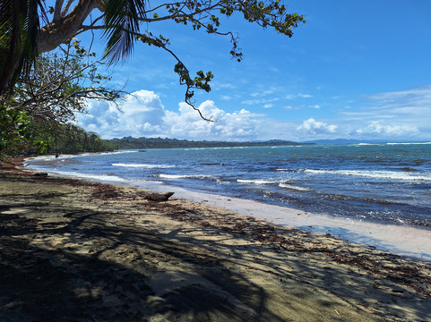 杏仁和珊瑚精品酒店主图