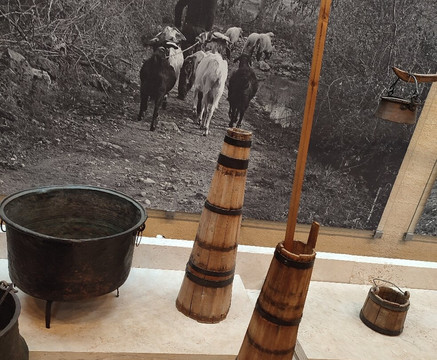 Environment Museum of Stymphalia-Stymfalia必去景点