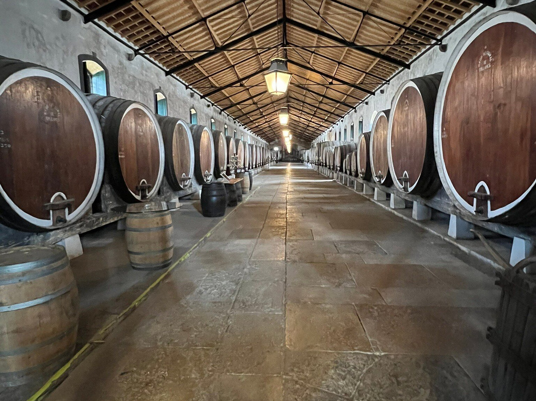 Adega Regional de Colares-科拉雷斯必去景点