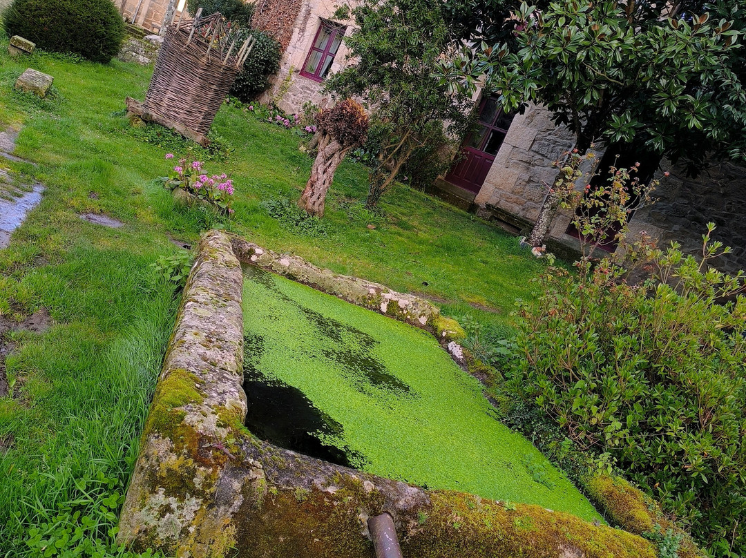 圣水之家旅馆主图