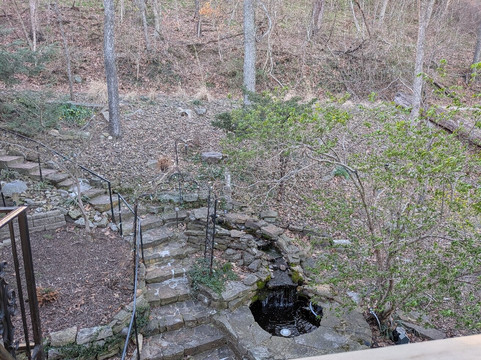 毒药与老妇民宿主图