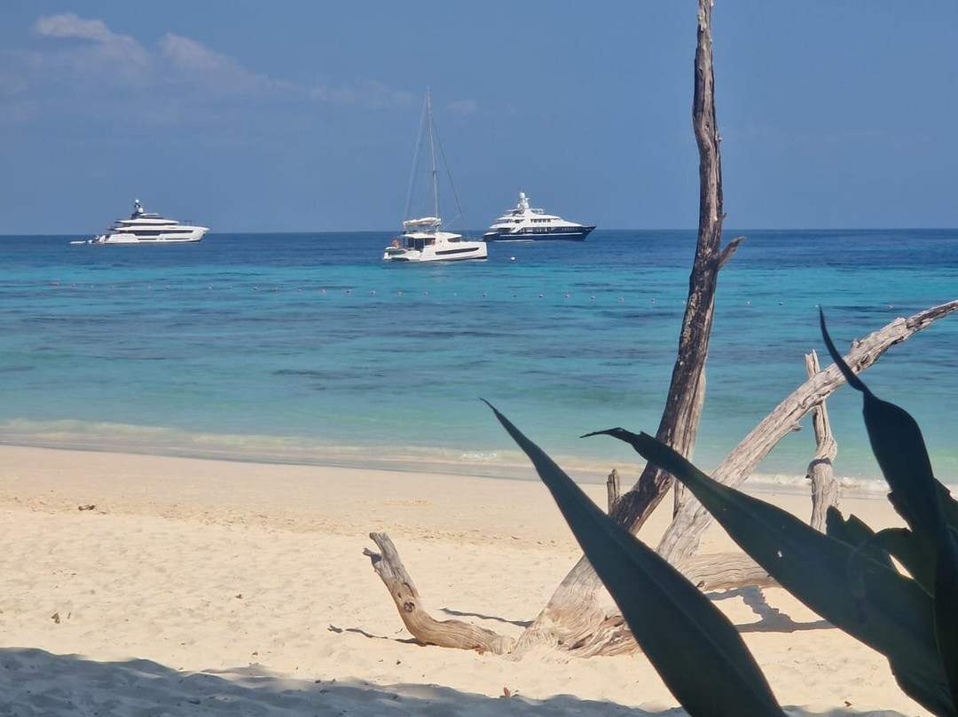 Fairview Yachting-他朗必去景点