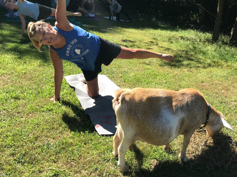 Sunflower Farm Creamery-Cumberland Center必去景点