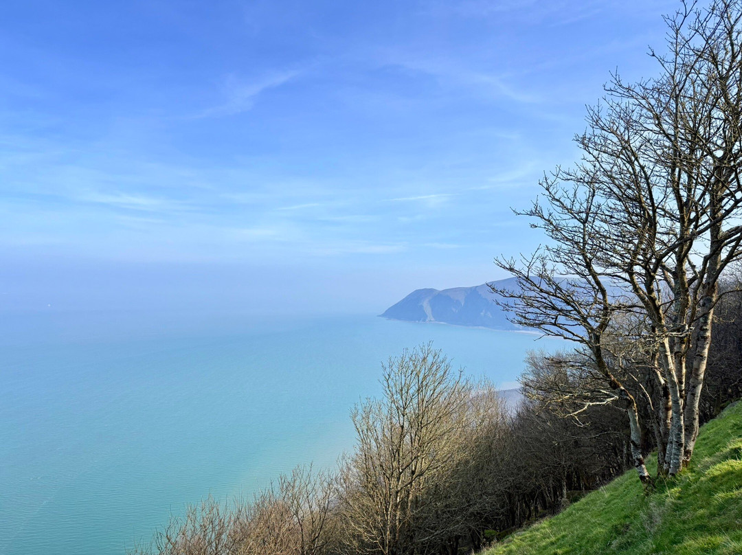 英格尔赛德旅馆主图