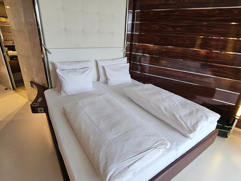 埃尔丁胜利水疗酒店主图