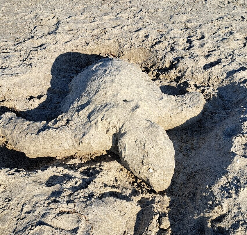 沃斯特洛杜瑞特斯特兰度假村&奥斯特瑟拜德水疗中心主图