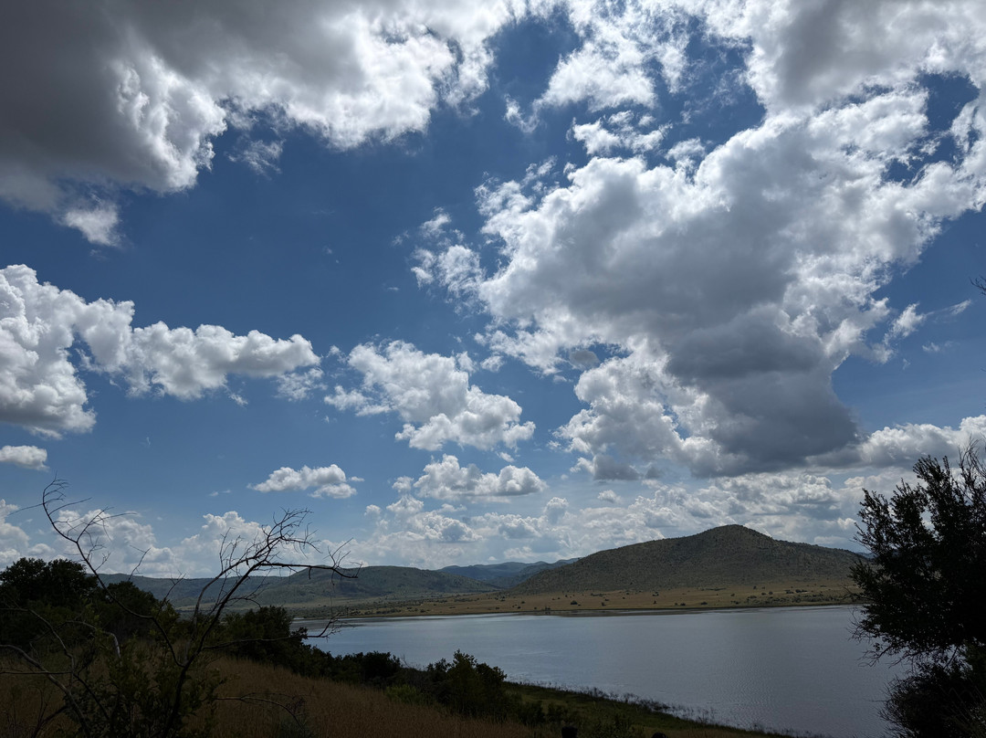 Pilanesberg National Park-太阳城必去景点