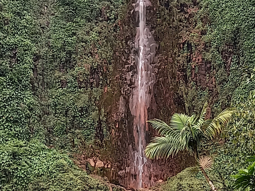 Carbet Falls (Les Chutes du Carbet)-Parc National必去景点