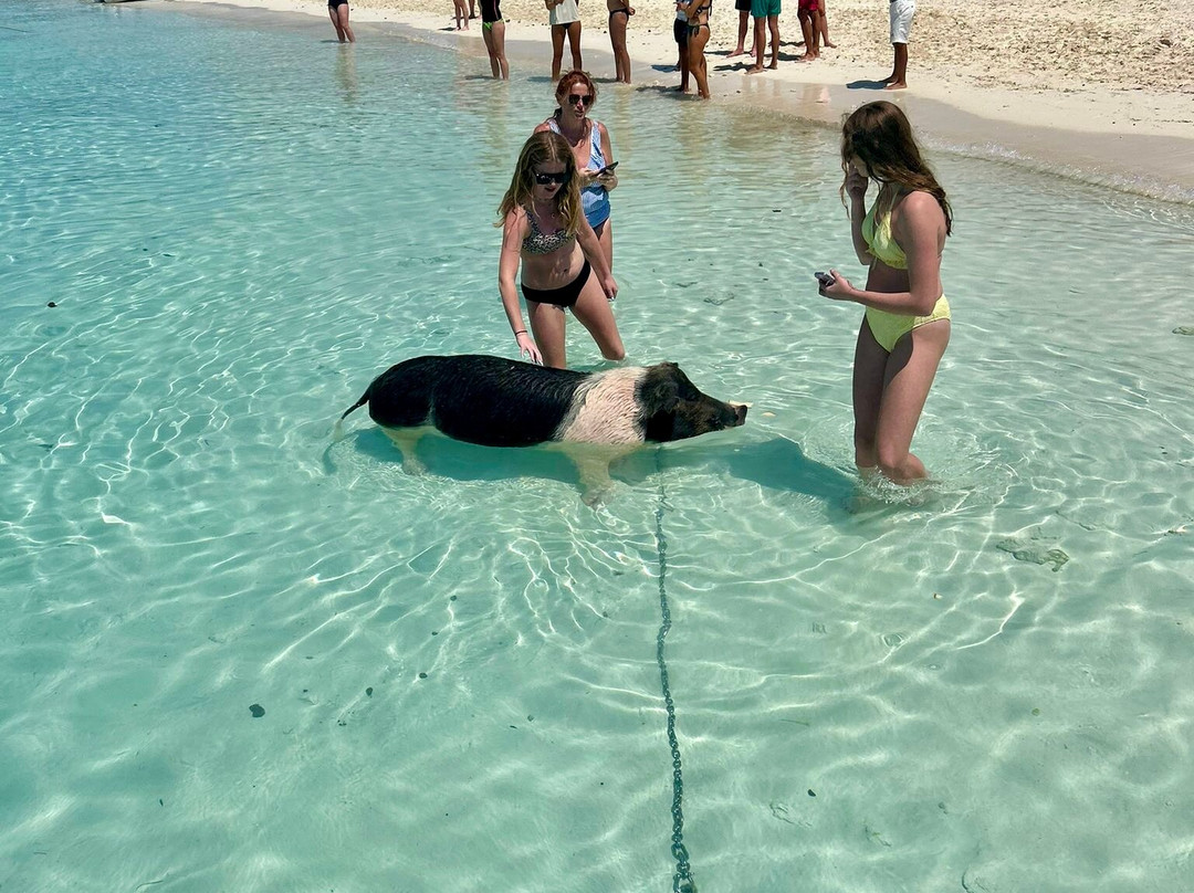 Great Guana Cay Adventures-Little Exuma必去景点