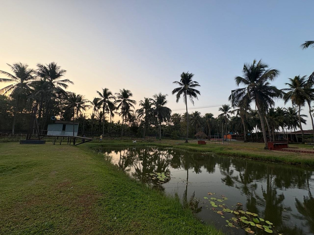 鲁斯特河度假村主图