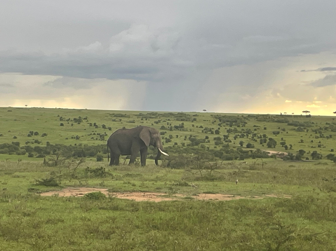 Meander Africa Safaris-内罗毕必去景点