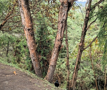Wenchi Crater Lake & Hiking-Ambo必去景点