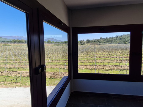 Vinyes d'Olivardots-Capmany必去景点