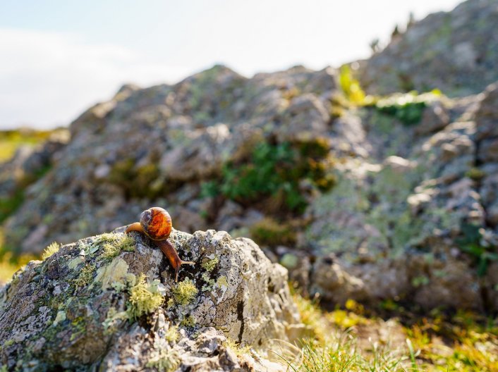 莱斯尚布雷德克拉尔住宿加早餐旅馆-官方