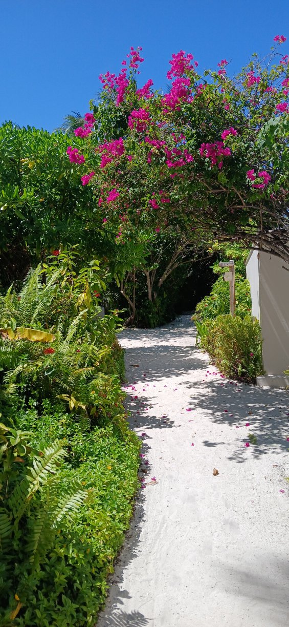 米拉门胡岛水疗度假村-浴室