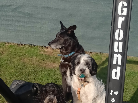 Winterton Hound Ground-Winterton-on-Sea必去景点