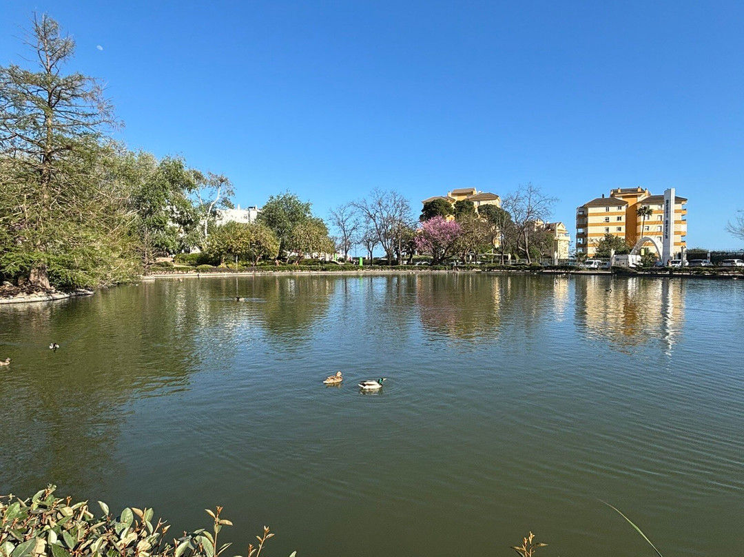 鸽子公园-班纳玛德纳必去景点