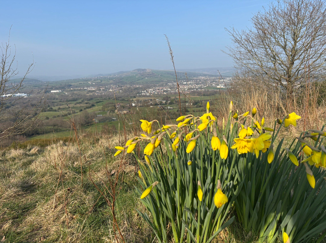 Werneth Low Country Park-Hyde必去景点