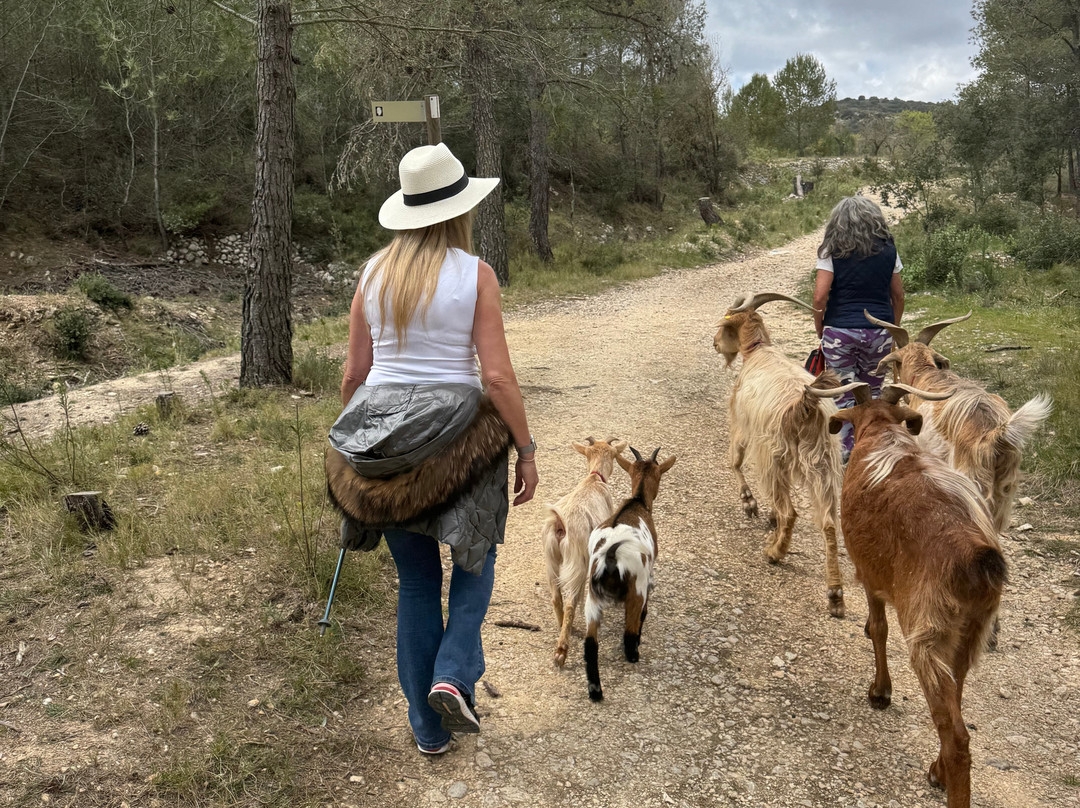 Euro Goat Trekkers-Tarbena必去景点
