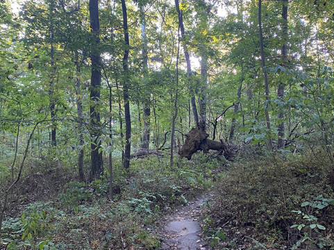 Blackhand Gorge State Nature Preserve-Newark必去景点
