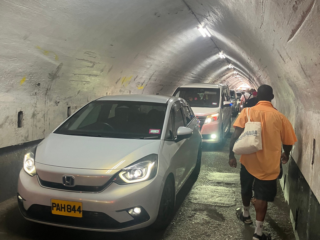 Sendall Tunnel-St. George's必去景点