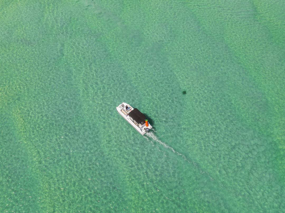 Orange Beach Boat Rentals-橙色海湾必去景点
