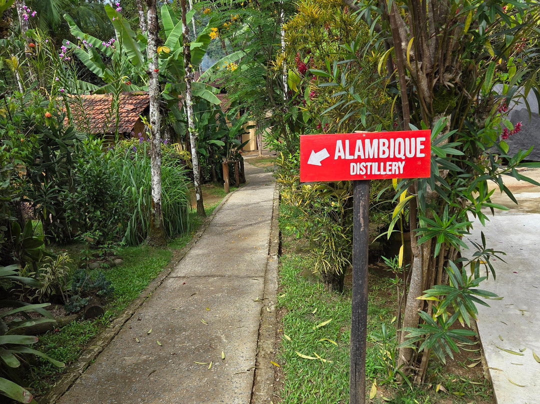 Alambique Engenho D'Ouro-帕拉地必去景点