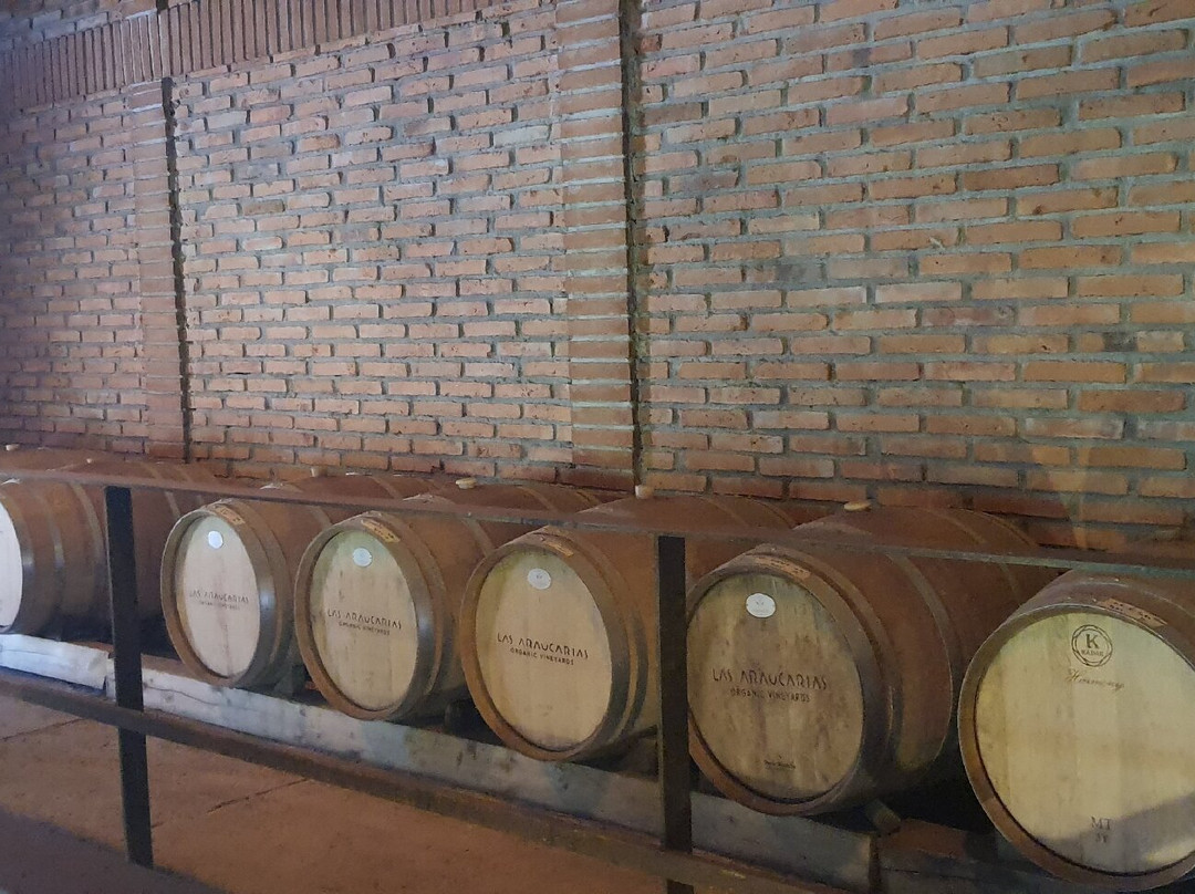 Viña Las Araucarias-Melipilla必去景点