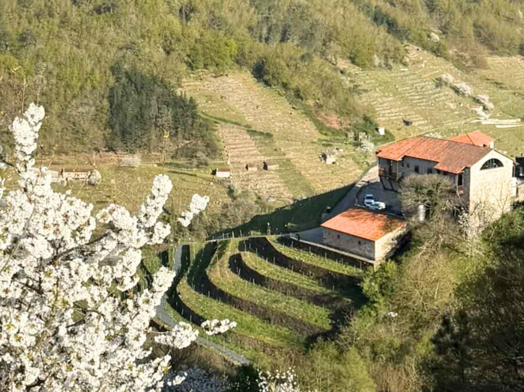 Via Romana Adegas e Vinedos-Chantada必去景点