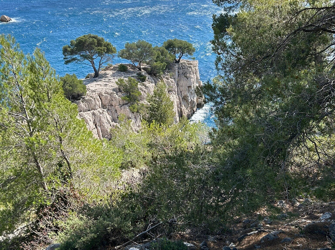Calanque d'En Vau-卡西斯必去景点