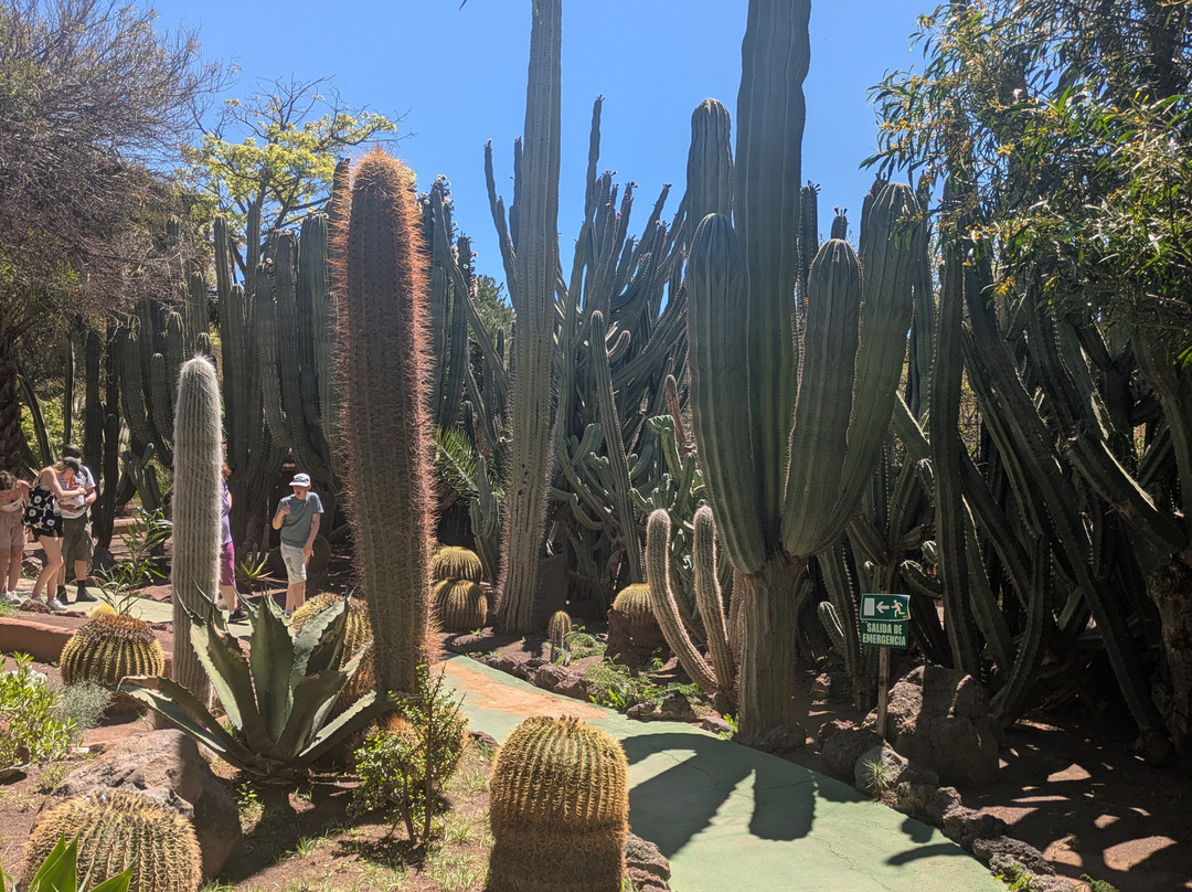 Cocodrilo Park Gran Canaria-阿古伊梅斯必去景点