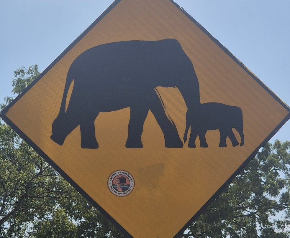 Dilro Travels & Tours-西部省必去景点