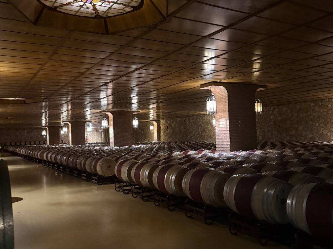 Bodegas Ontañón, El Templo del Vino-洛格罗尼奥必去景点