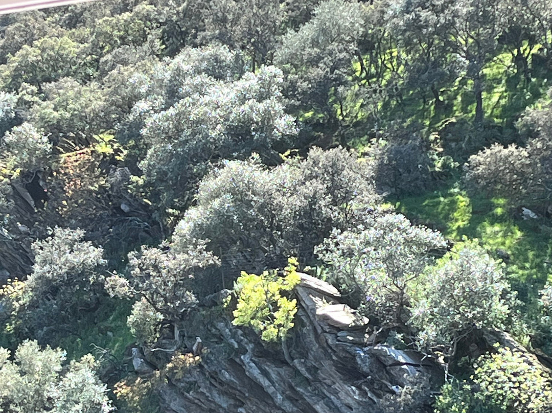 Barco del Tajo - Reserva de la Biosfera de Monfragüe-Serradilla必去景点