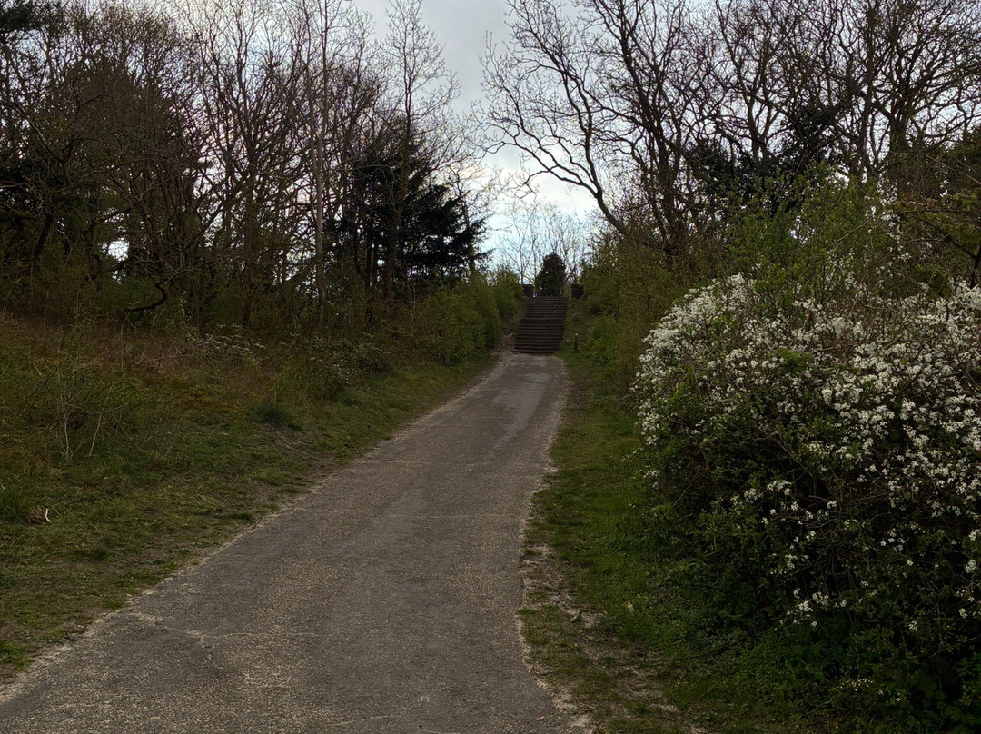 Meester Enschedepark-Bloemendaal必去景点