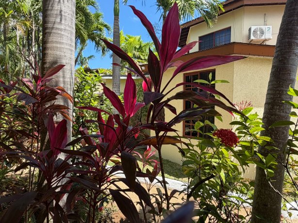 可可棕榈酒店-官方