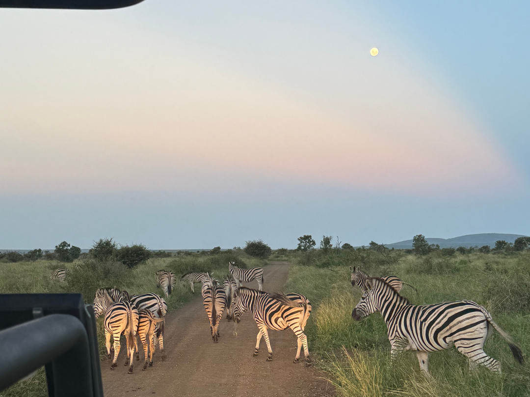 Royal Safaris-库马堤港必去景点
