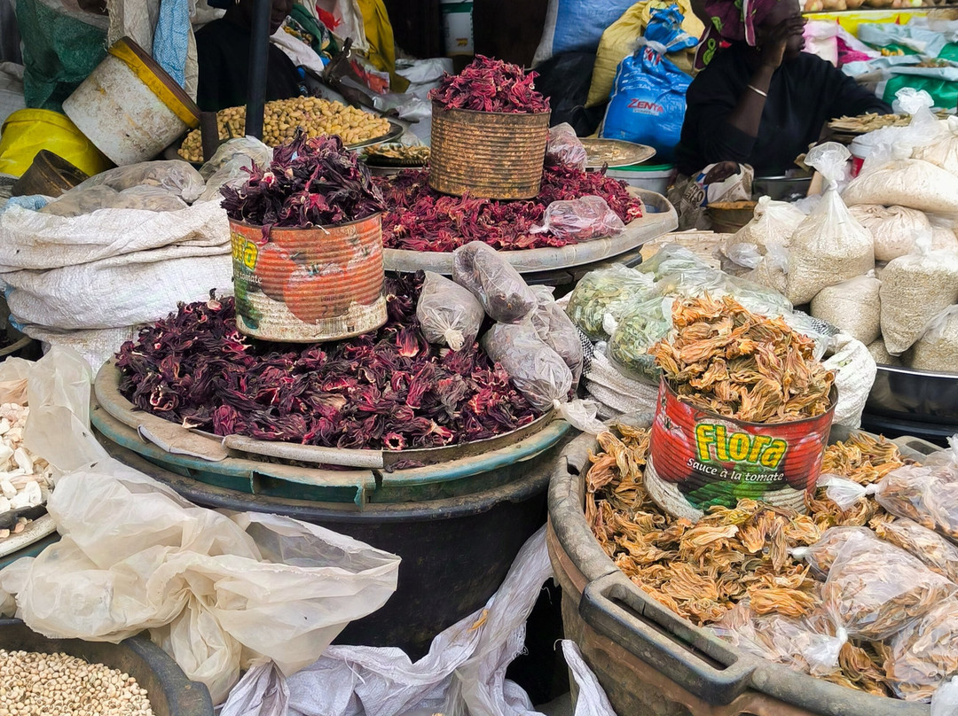Senegal with Alex-达喀尔必去景点