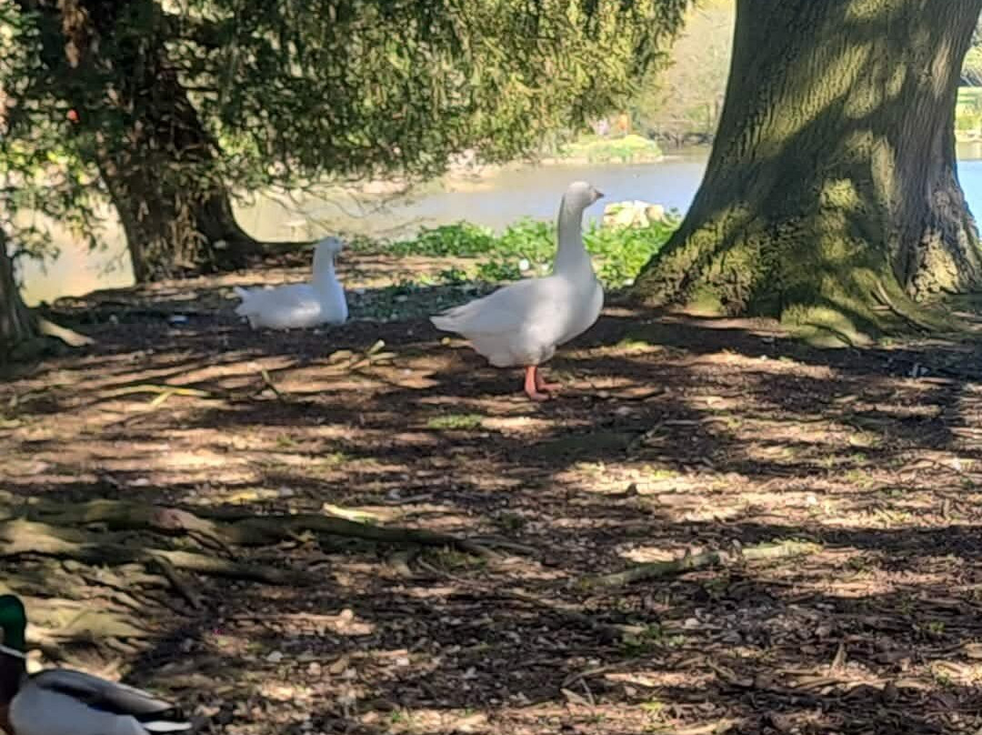 Elsham Hall Gardens and Country Park-Brigg必去景点