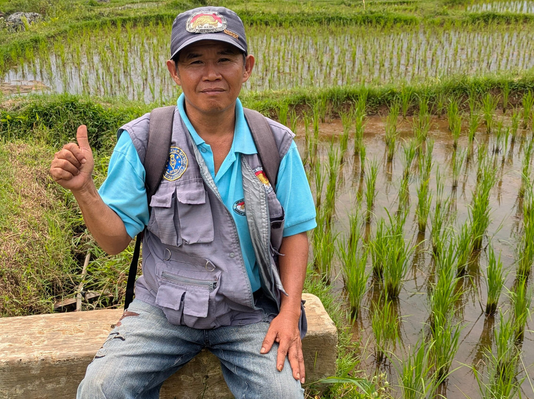 TORAJA TOUR WITH GUIDE SERVICE.-Tana Toraja必去景点